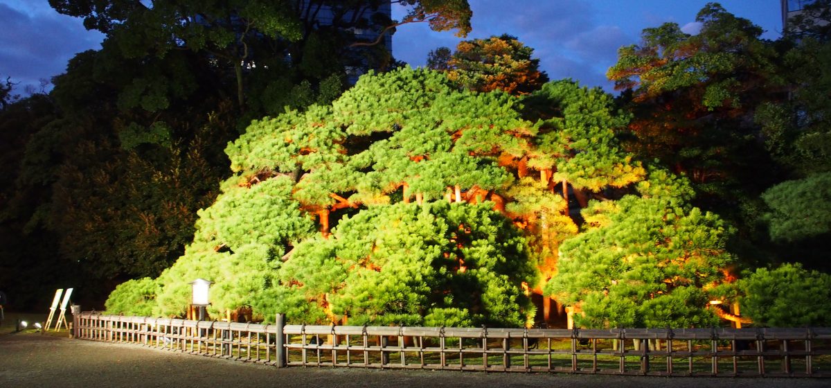 Event at a Unique Venue: Tokyo Prime Night 2017