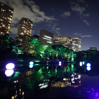 Event Planner in Action at a Unique Venue in Japan: Hama-rikyu Gardens image