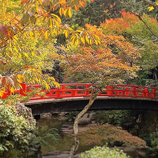 Event in Japan: Why choose Japan for your Next Event? image