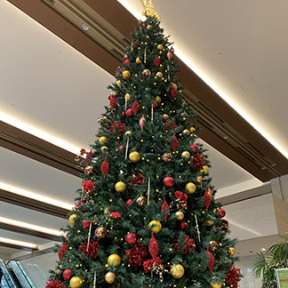 The Most Wonderful Time of the Year! Last days of 2018 image