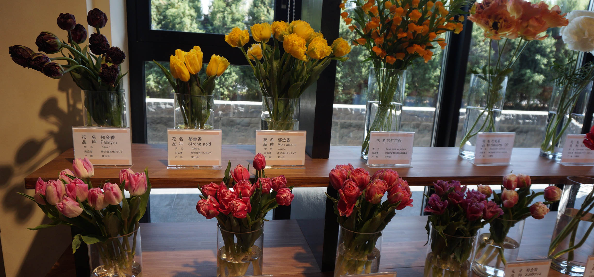 Japanese Garden Pavilion at the International Horticultural Exposition, Peking 2019