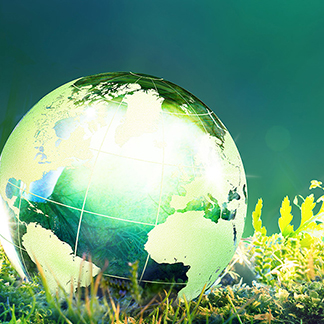 Sustainable Event Professionals Interview image