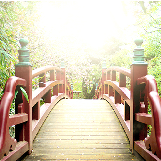 Japan Finally Reopens Fully for Tourism & Business Travelers! image