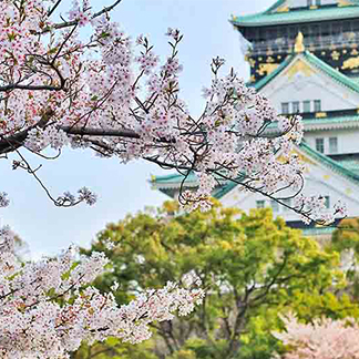 Spring in Japan: Sakura (Cherry Blossom) & Your Event image