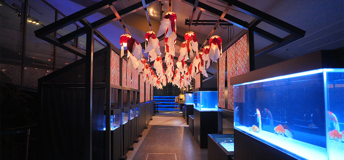 Award Ceremony at Sumida Aquarium