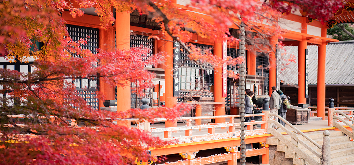 Japanese culture traditional event